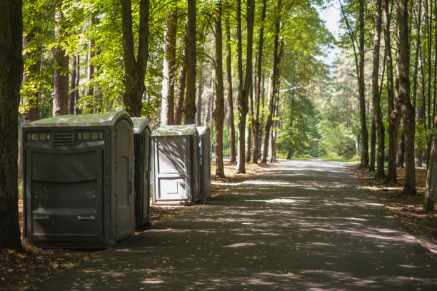 Best Porta potty rental near me  in Taos, NM